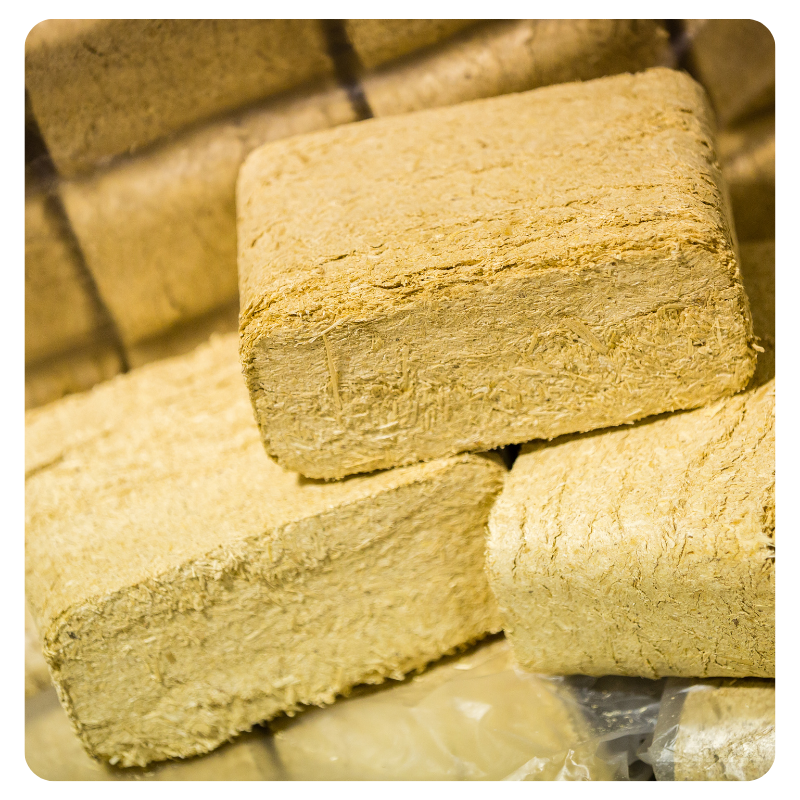 7 Benefits of Eco-Friendly BioBricks & EasyLight Kindling