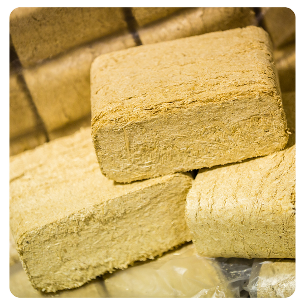 7 Benefits of Eco-Friendly BioBricks & EasyLight Kindling
